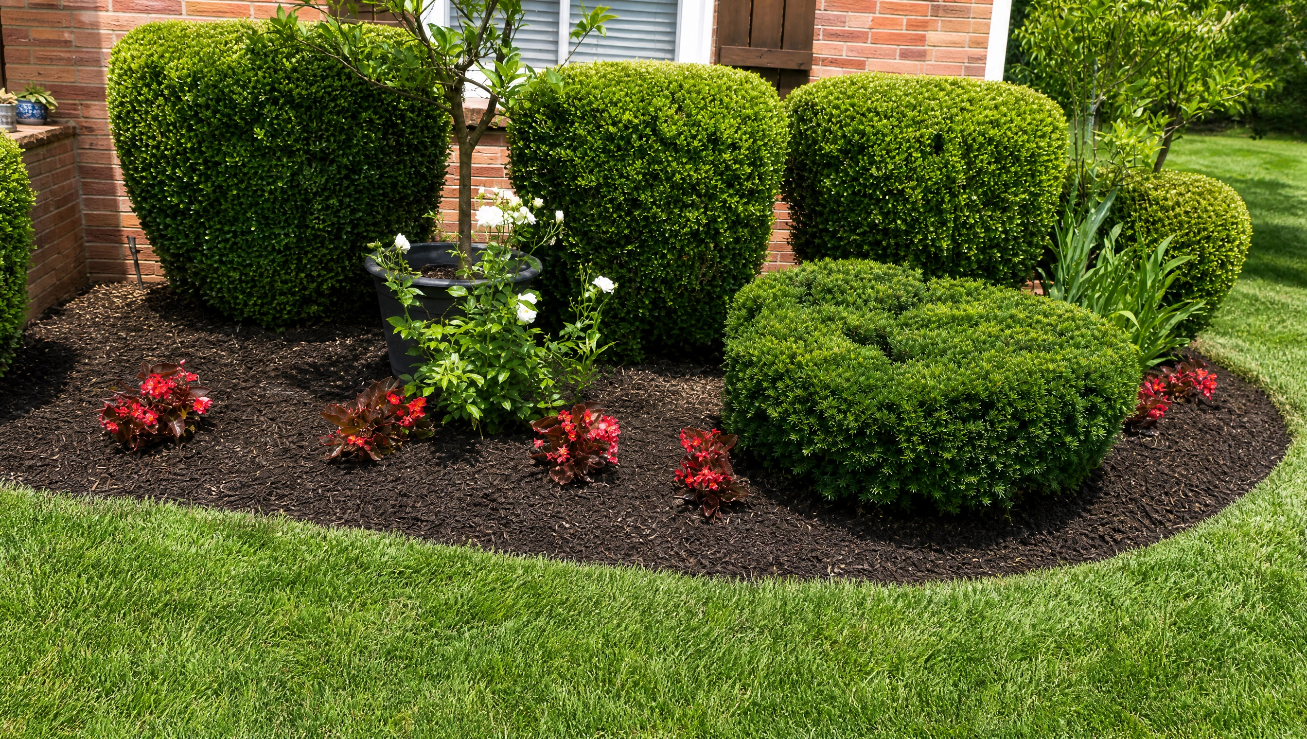 residential landscaping with trimmed shrubs, fresh mulch, green lawn, and flower beds along brick home